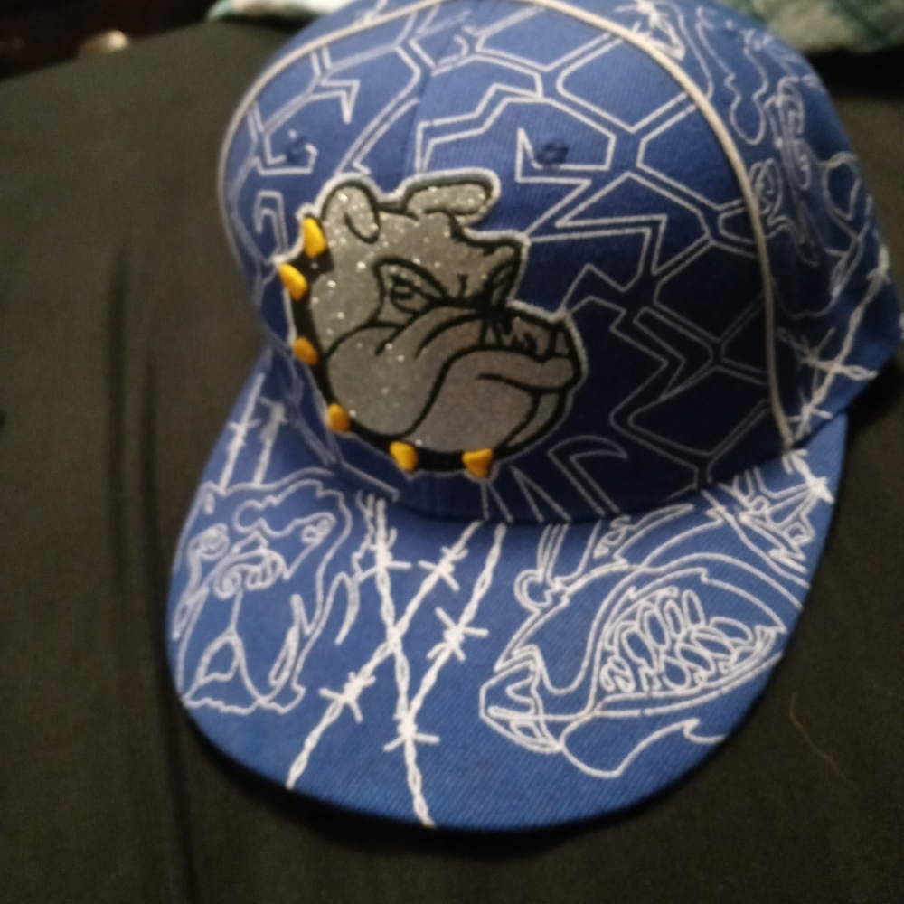 A blue bulldog hat